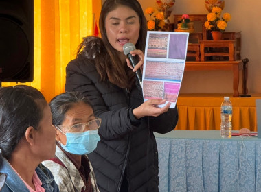 วันที่ 26 ธันวาคม 2566 ... พารามิเตอร์รูปภาพ 4